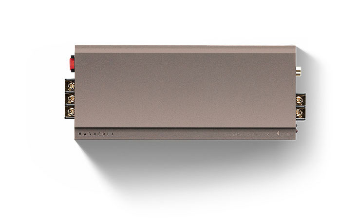 75W Mono-channel Power Amplifier P-100 rikyu